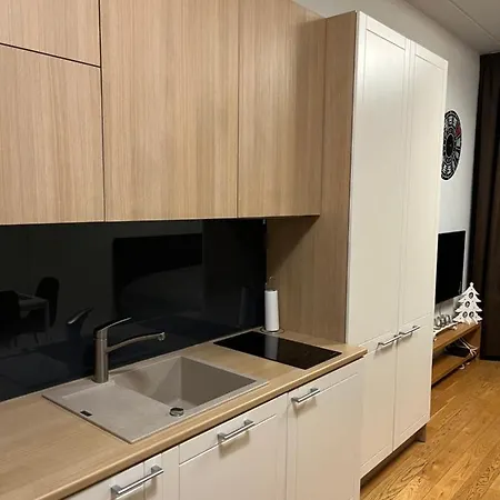 Mere Puiestee Apartment *